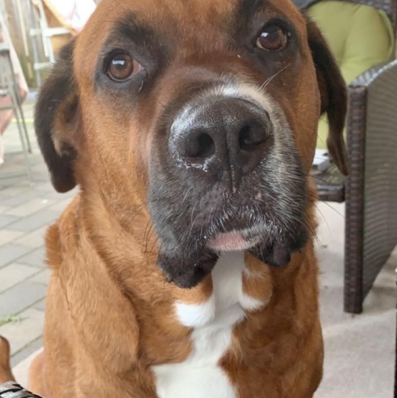 Chrissy V Poshmark Ambassador - Picture 4 of 6